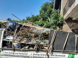 Best Attic Cleanout  in Morton, IL